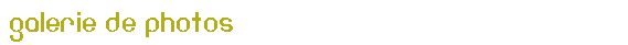 Accueil